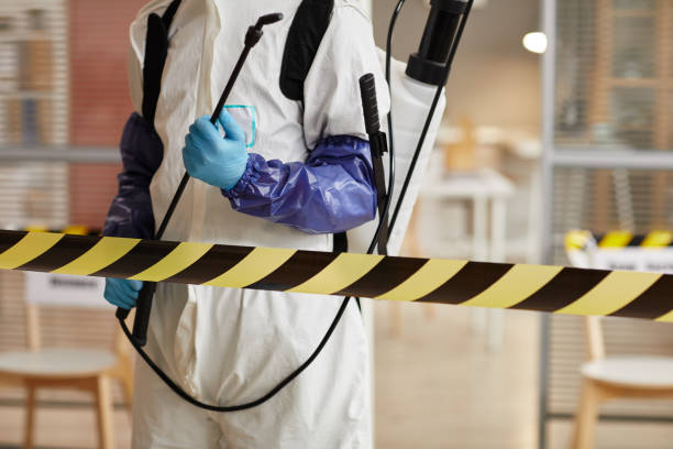 Professional Sewage Cleanup technician working in Canyon, CA